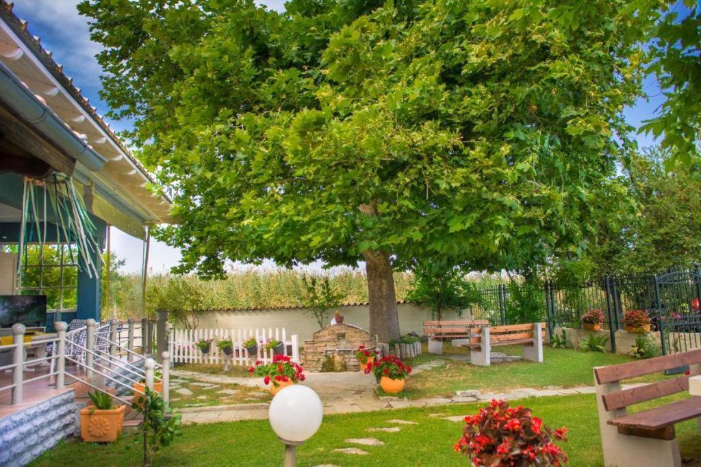 Paralía Seaside Cottage מראה חיצוני תמונה